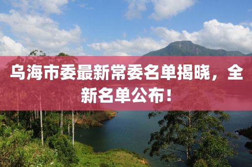 烏海市委最新常委名單揭曉，全新名單公布！