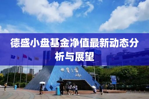 德盛小盤基金凈值最新動(dòng)態(tài)分析與展望