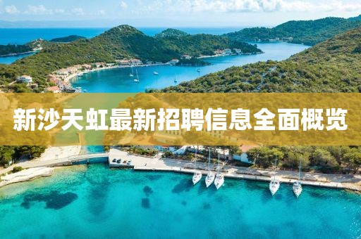 新沙天虹最新招聘信息全面概覽