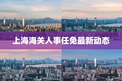 上海海關人事任免最新動態(tài)