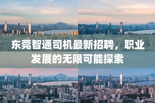 東莞智通司機(jī)最新招聘，職業(yè)發(fā)展的無限可能探索