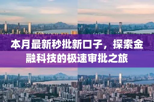 本月最新秒批新口子，探索金融科技的極速審批之旅