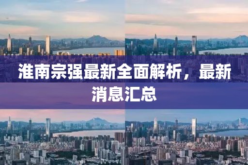 淮南宗強(qiáng)最新全面解析，最新消息匯總