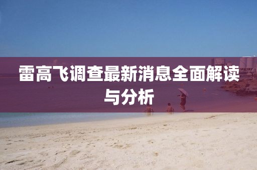 雷高飛調(diào)查最新消息全面解讀與分析