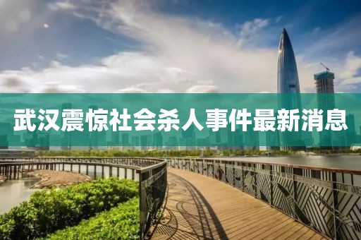 武漢震驚社會殺人事件最新消息