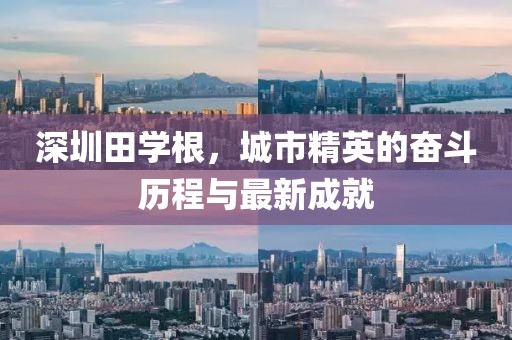 深圳田學(xué)根，城市精英的奮斗歷程與最新成就