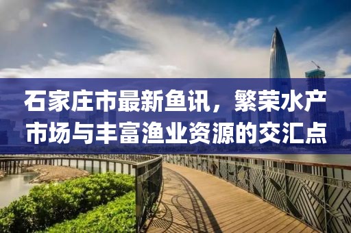 石家莊市最新魚訊，繁榮水產(chǎn)市場(chǎng)與豐富漁業(yè)資源的交匯點(diǎn)