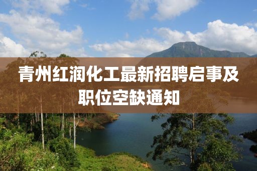 青州紅潤(rùn)化工最新招聘啟事及職位空缺通知