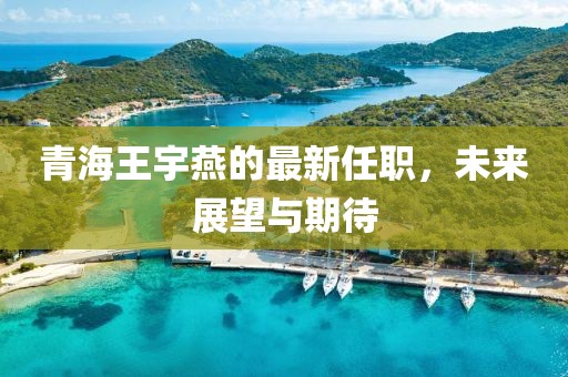 青海王宇燕的最新任職，未來(lái)展望與期待