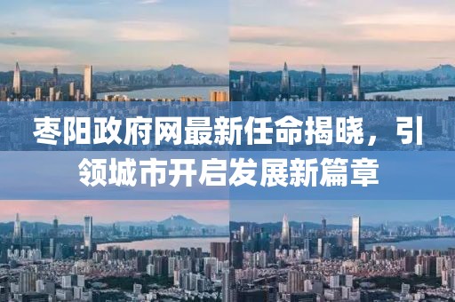 棗陽(yáng)政府網(wǎng)最新任命揭曉，引領(lǐng)城市開啟發(fā)展新篇章