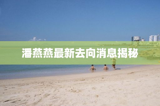 潘燕燕最新去向消息揭秘