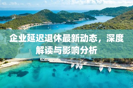 企業(yè)延遲退休最新動態(tài)，深度解讀與影響分析