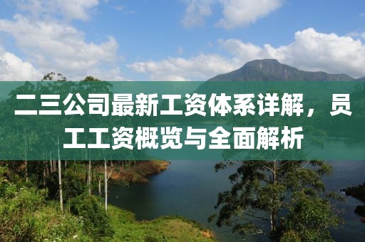 二三公司最新工資體系詳解，員工工資概覽與全面解析