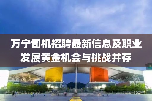 萬寧司機招聘最新信息及職業(yè)發(fā)展黃金機會與挑戰(zhàn)并存
