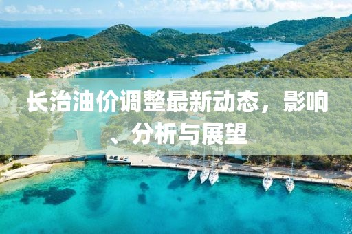 長治油價調(diào)整最新動態(tài)，影響、分析與展望