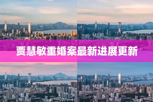 賈慧敏重婚案最新進展更新
