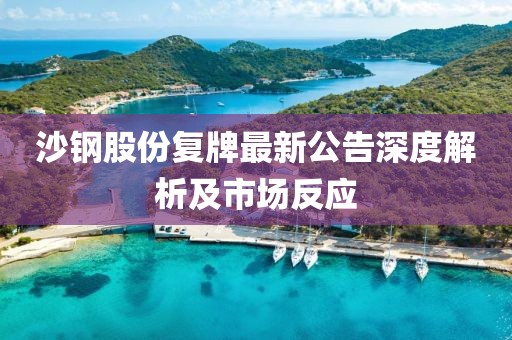 沙鋼股份復(fù)牌最新公告深度解析及市場反應(yīng)