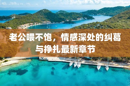 老公喂不飽，情感深處的糾葛與掙扎最新章節(jié)