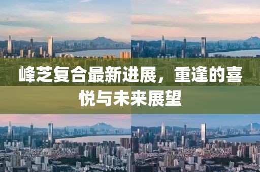 峰芝復合最新進展，重逢的喜悅與未來展望
