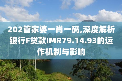 202管家婆一肖一碼,深度解析銀行F貸款I(lǐng)MR79.14.93的運(yùn)作機(jī)制與影響