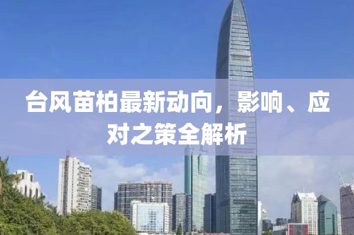 臺風(fēng)苗柏最新動向，影響、應(yīng)對之策全解析