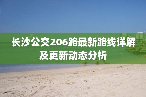 長沙公交206路最新路線詳解及更新動(dòng)態(tài)分析