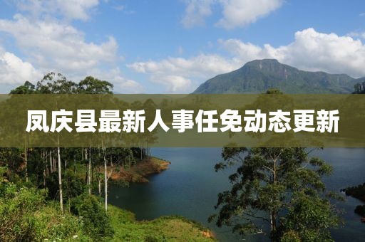 鳳慶縣最新人事任免動態(tài)更新