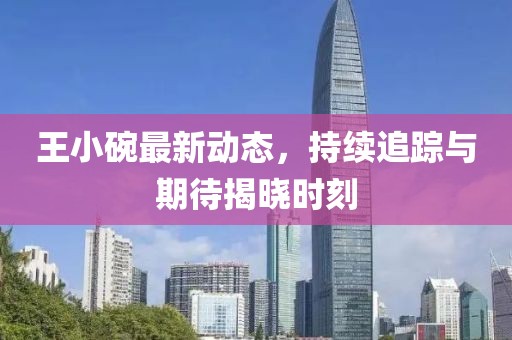 王小碗最新動(dòng)態(tài)，持續(xù)追蹤與期待揭曉時(shí)刻