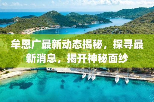 牟恩廣最新動態(tài)揭秘，探尋最新消息，揭開神秘面紗