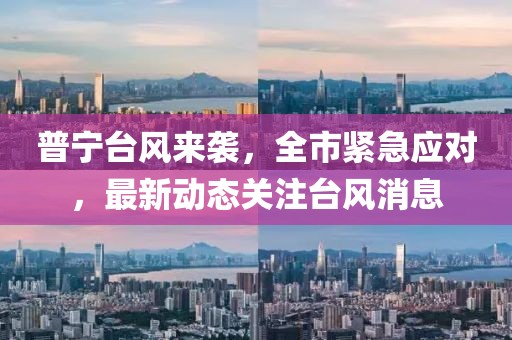 普寧臺風(fēng)來襲，全市緊急應(yīng)對，最新動態(tài)關(guān)注臺風(fēng)消息