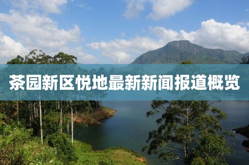 茶園新區(qū)悅地最新新聞報(bào)道概覽