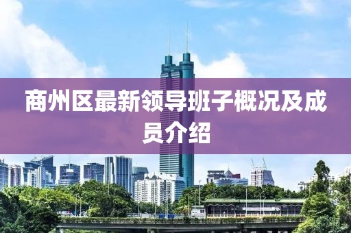 商州區(qū)最新領(lǐng)導(dǎo)班子概況及成員介紹