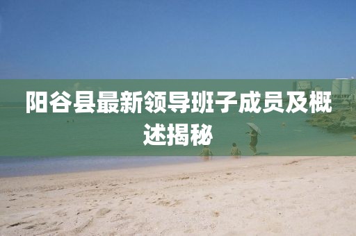 陽谷縣最新領(lǐng)導(dǎo)班子成員及概述揭秘