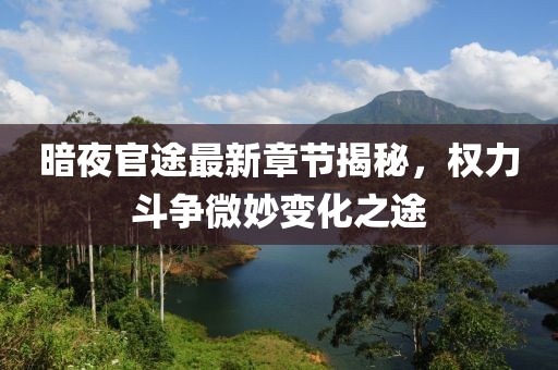 暗夜官途最新章節(jié)揭秘，權力斗爭微妙變化之途