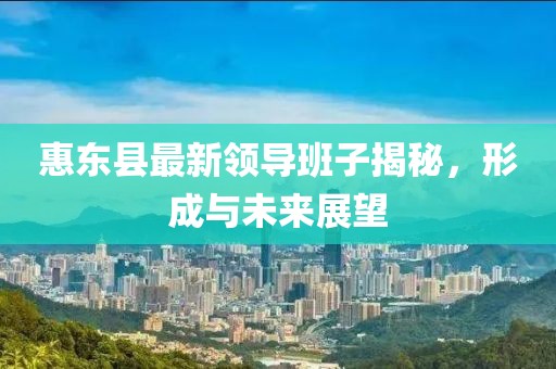 惠東縣最新領(lǐng)導(dǎo)班子揭秘，形成與未來展望