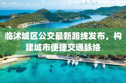 臨沭城區(qū)公交最新路線發(fā)布，構(gòu)建城市便捷交通脈絡(luò)