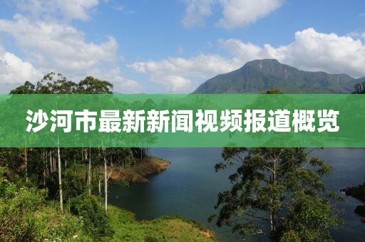 沙河市最新新聞視頻報(bào)道概覽