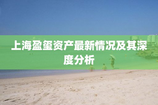 上海盈璽資產(chǎn)最新情況及其深度分析