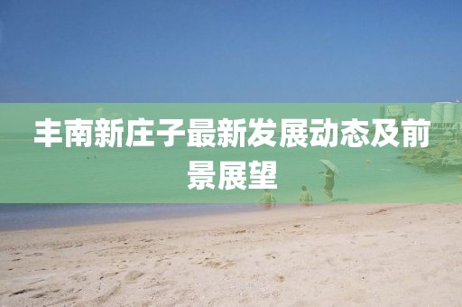 豐南新莊子最新發(fā)展動(dòng)態(tài)及前景展望