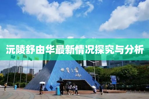 沅陵舒由華最新情況探究與分析