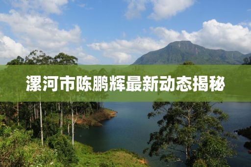漯河市陳鵬輝最新動態(tài)揭秘