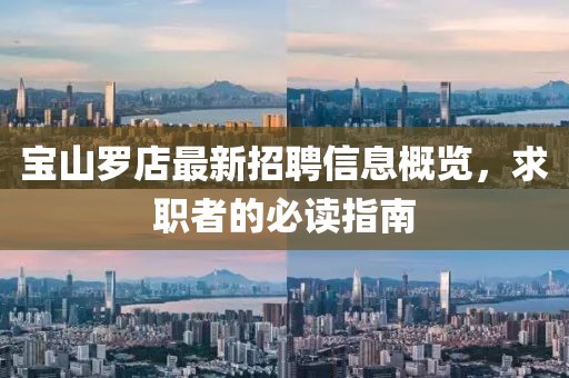 寶山羅店最新招聘信息概覽，求職者的必讀指南
