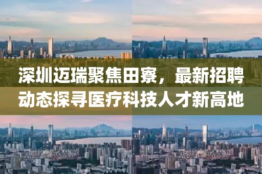 深圳邁瑞聚焦田寮，最新招聘動態(tài)探尋醫(yī)療科技人才新高地