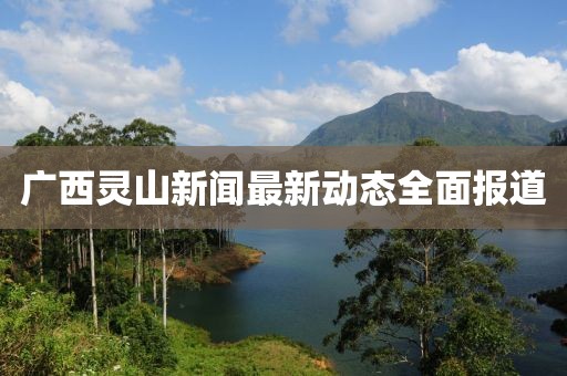 廣西靈山新聞最新動(dòng)態(tài)全面報(bào)道