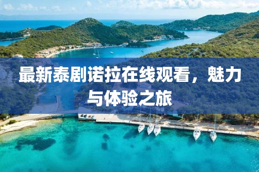 最新泰劇諾拉在線觀看，魅力與體驗(yàn)之旅