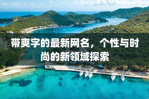帶爽字的最新網(wǎng)名，個性與時尚的新領(lǐng)域探索