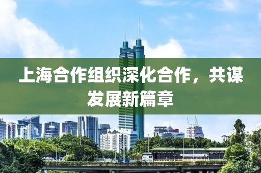 上海合作組織深化合作，共謀發(fā)展新篇章