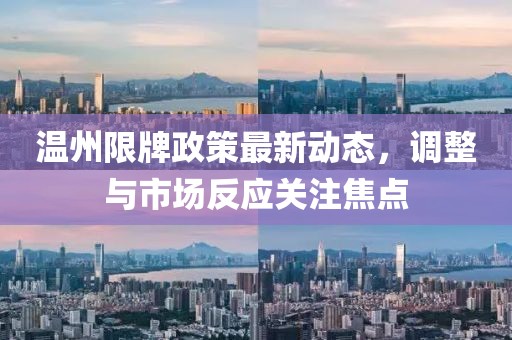 溫州限牌政策最新動(dòng)態(tài)，調(diào)整與市場(chǎng)反應(yīng)關(guān)注焦點(diǎn)