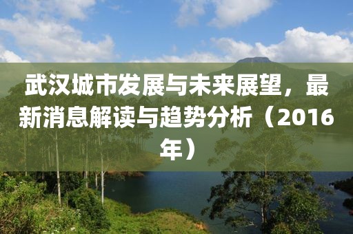 武漢城市發(fā)展與未來展望，最新消息解讀與趨勢(shì)分析（2016年）