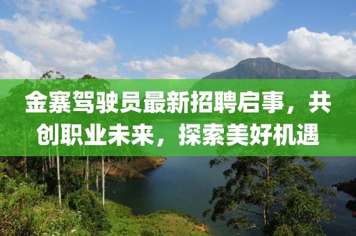 金寨駕駛員最新招聘啟事，共創(chuàng)職業(yè)未來，探索美好機遇